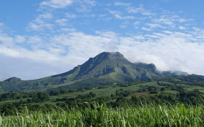 Destination Martinique