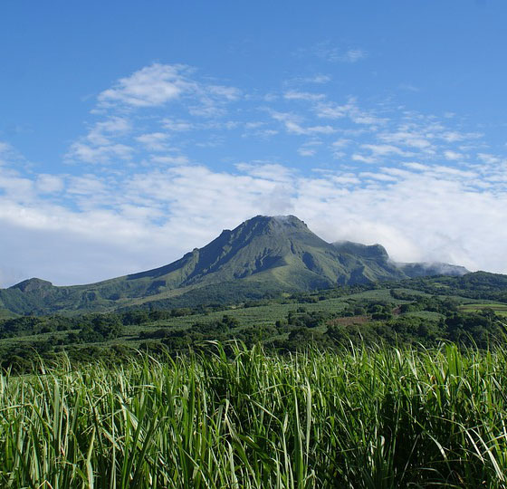 Destination Martinique