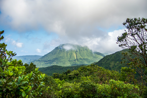 Forêt tropicale de Dominique, paradis de la randonnée