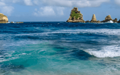 QUE FAIRE sur la BASSE-TERRE en GUADELOUPE ?