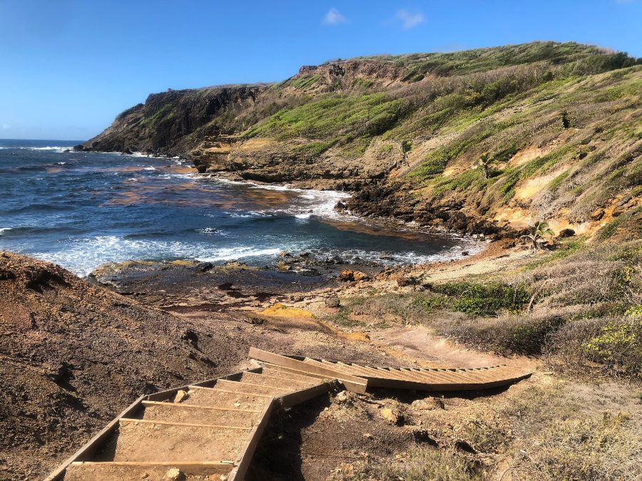 Découvrez la Presqu’île de la Caravelle en Martinique avec l’Express des Îles